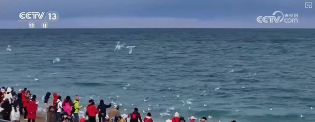 春节旅游市场新观察·品质化、复合型体验成2026年春节旅游消费鲜明趋势