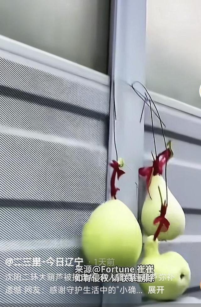 摘沈阳网红葫芦男子遭人肉波及酒店