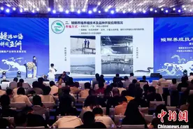 福建鳗鱼产销热 出口内销两旺图片