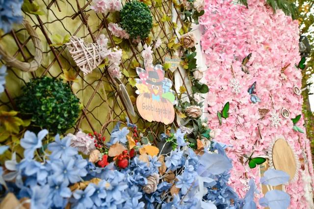 漫步街头巷尾，寻找冀南新区独有的初冬韵味