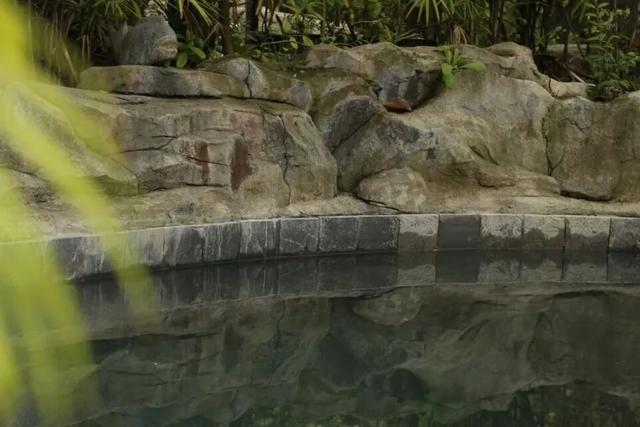 悦·遵义 | 冬游播州——暖冬图鉴，解锁暖身又暖心的“养生趴”