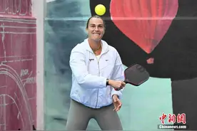 樊振东、容祖儿都在玩，匹克球是个什么球？图片