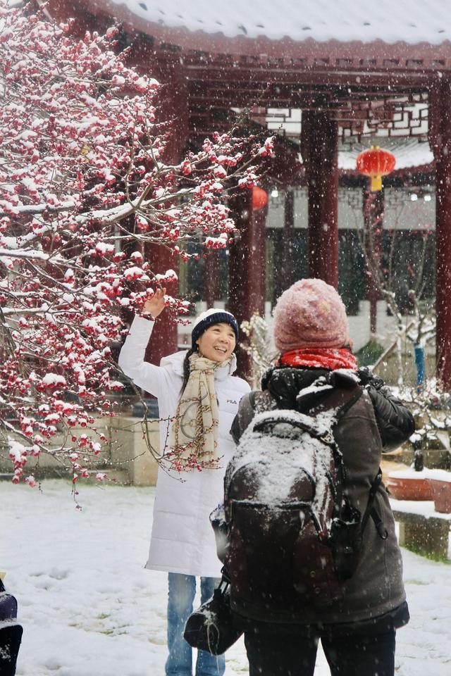 武汉下雪了！东湖梅园上演现实版“踏雪寻梅”
