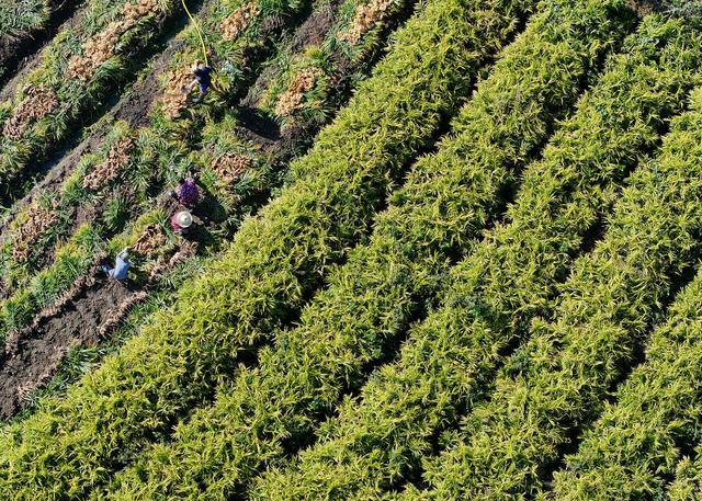 文化中国行·传统村落人文影像志｜湘南古村：深巷古祠间的诗意与乡愁