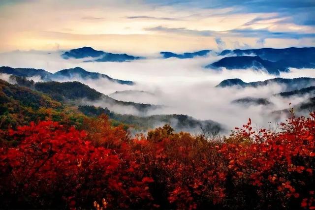 何处红叶醉人眼？何物最暖游子心？