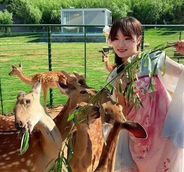 高铁车票升值中，秋冬游荣成福利来啦