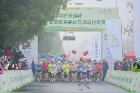 徜徉金色花海，2024湖南南县罗文花海马拉松赛开跑图片