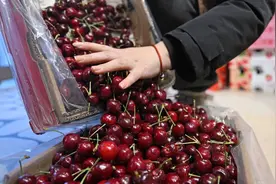 进口车厘子价格大跳水 海运20多天到国内却不腐烂？业内人士谈背后的保鲜技术图片