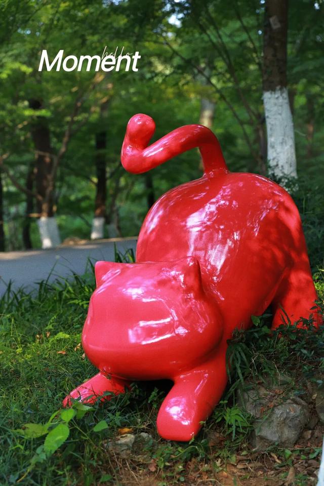 对对对！在山里喝咖啡就去那个地方！