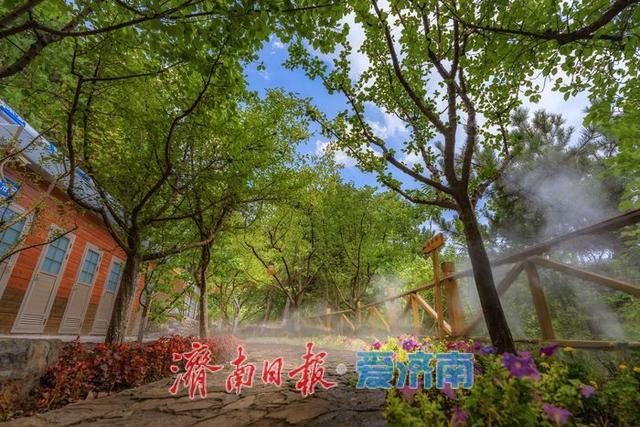 一年四季 泉在济南丨红叶谷打造全新露营地，解锁花间旅游新玩法