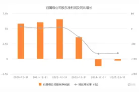 可循环包装龙头喜悦智行难“喜悦”：毛利率再创新低，“复制粘贴式”经营计划难破困局 | 看财报图片