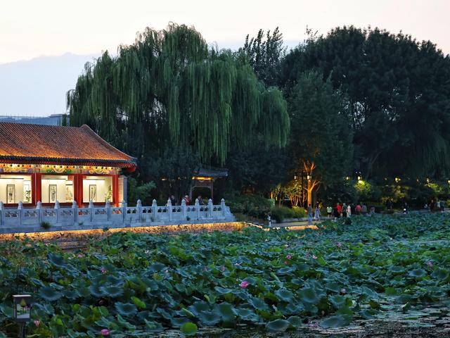 北京号最精彩 | 邀您共赏！本市部分火车站地区主题花坛盛装亮相