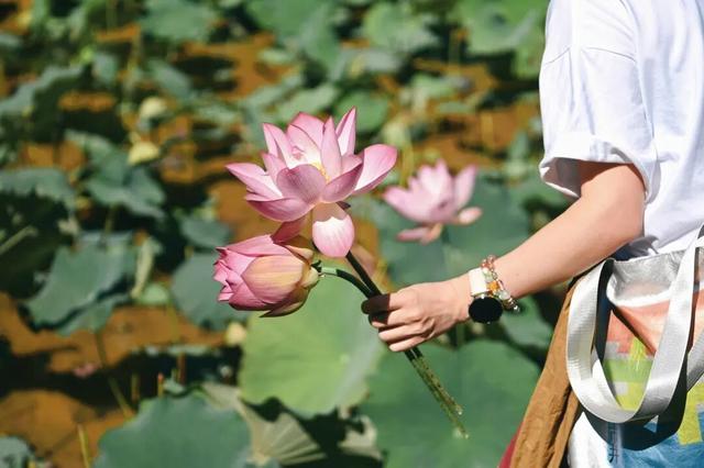 安纳班纳·泰宁 | 在时间的褶皱里，呼吸一场丹霞旧梦