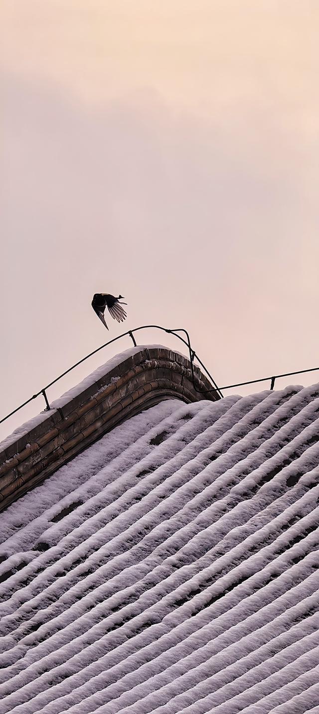 京城古韵，雪落红墙，一起感受北京冬日氛围感