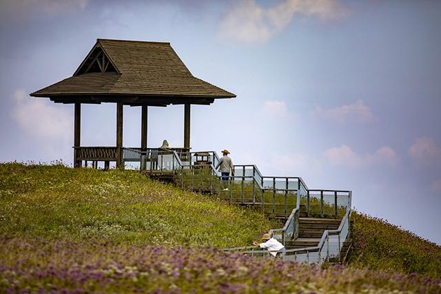 韭菜坪: 乌蒙山脉的璀璨明珠