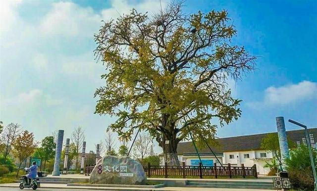 超级文旅日|17寻味荆楚一城一味，舌尖漫游荆州古城