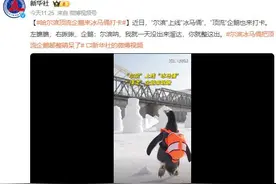 尔滨上线“冰马俑”：把顶流企鹅都整萌呆了图片