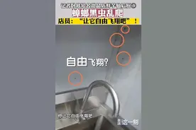 “让虫子自由飞翔”，鲜芋仙甜品让人怎么入口？| 新京报快评图片