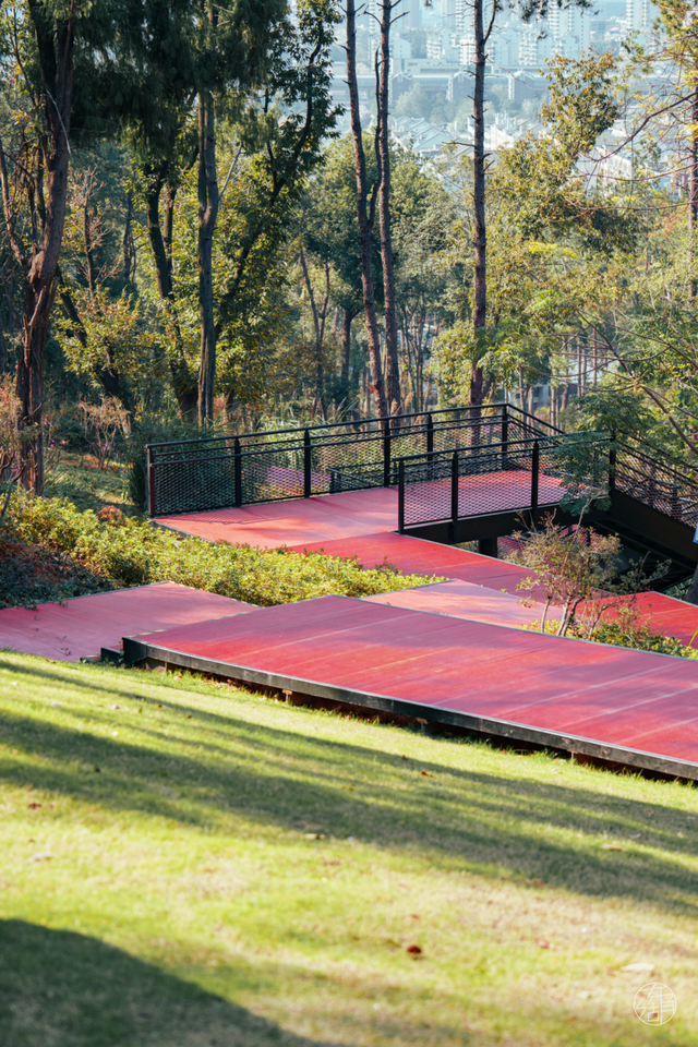 漫步彩虹、栈道追风，东湖徒步新线路美翻了！