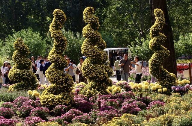 国家植物园“花”式迎国庆