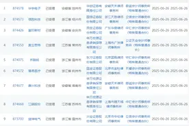 1天17家！沪深北交易所上半年新受理IPO数已超去年全年图片