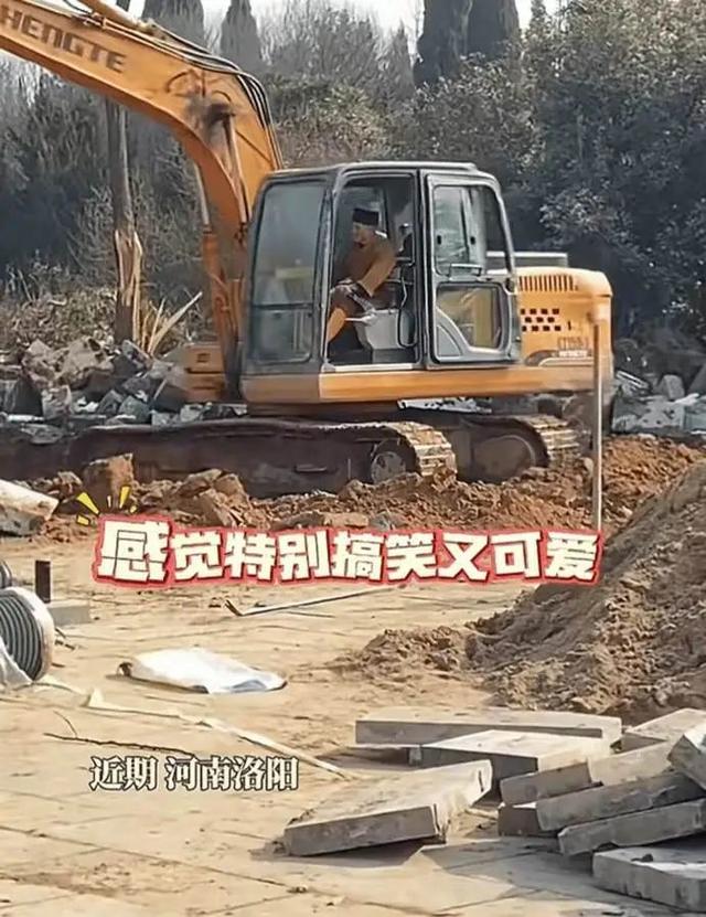 少林寺来了位不一样的住持