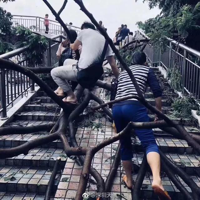 为避台风深圳人搬进无窗酒店
