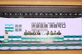 洪湖莲藕冲刺百亿的产业密码图片