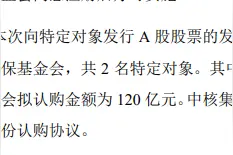 A股龙头，140亿定增启动！社保基金会：认购120亿！图片