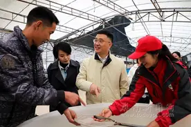 县领导深入乡镇开展“四下基层”调研图片