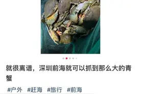 网友热议“到深圳前海湾抓青蟹”，专家呼吁“生态亲海”图片