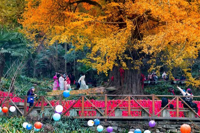 别再瞎找了！这张“黄金版图”全是惊喜