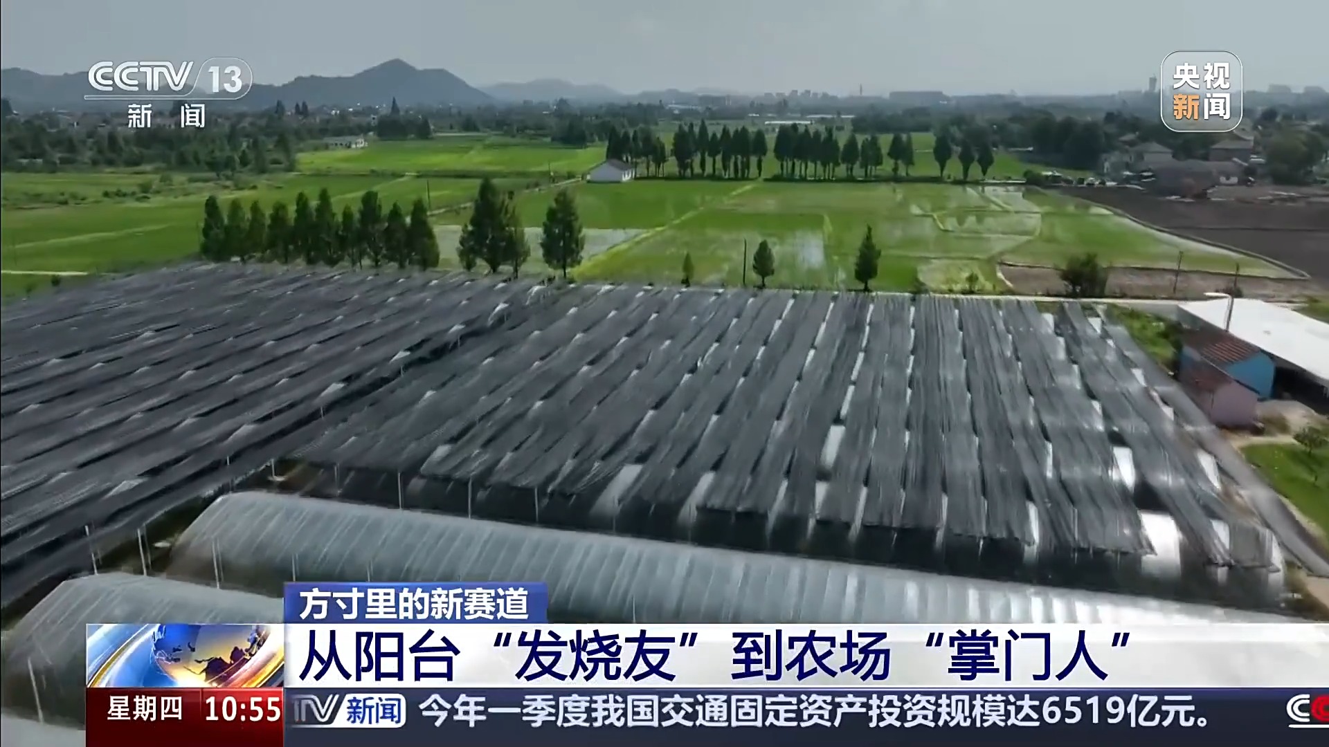 智能园艺赋能家庭种植 阳台种菜催生现代农业新赛道 - 图画吧TUHUABA