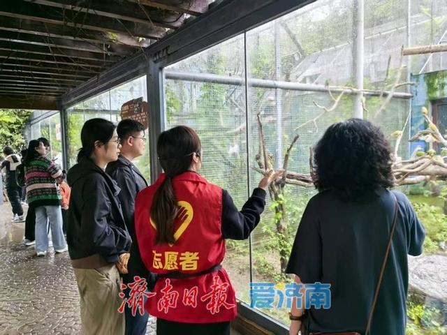 雨中庆华诞 服务铸匠心 济南野生动物世界奏响文旅高质量发展强音