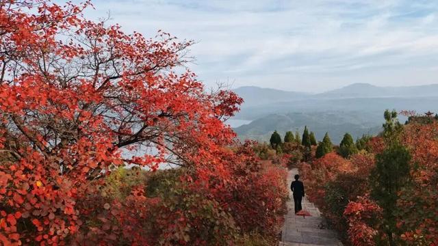 荆紫仙山红叶预告，第一波惊艳正在上线！