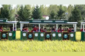 金秋好奇妙，一同探索乡村童话世界图片