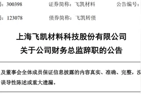 李晓晟辞去上海飞凯材料科技股份有限公司财务总监职务，仍担任副总经理图片