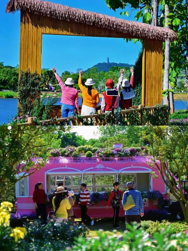 大美青秀山 | 叶子花园、丘石花园、音乐大草坪、金杉湖即将迎来冬日最佳观赏期！