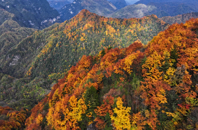 余先怀专栏｜秋染十八月潭