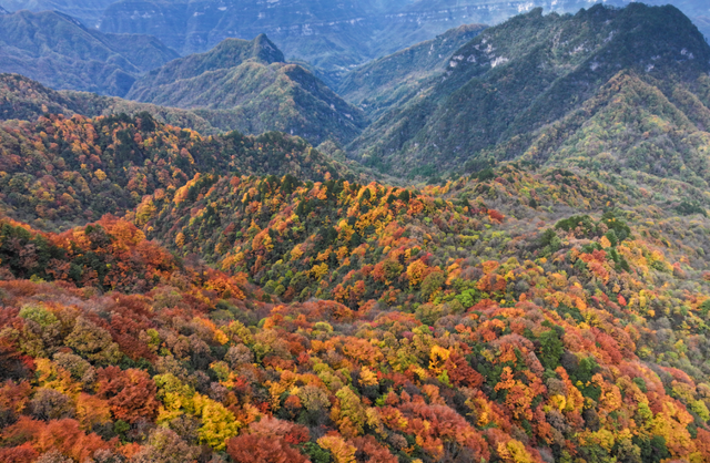 余先怀专栏｜秋染十八月潭