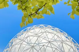 走进北京科学中心 感受生物多样性之美图片