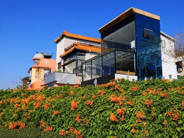 解锁冬日浪漫！来岩前星湖畔，一起走“花路”吧！