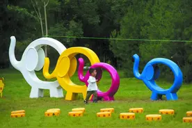 城市绿地共享让自然“触手可及”图片