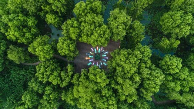 秋游首选！这10个地方太合适现在出发