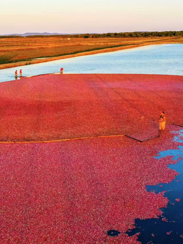 我说“白”了，你有点过分了！