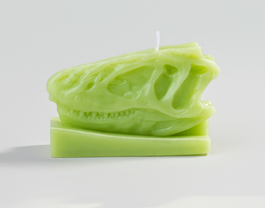 与恐龙共舞的午后：1月16日12点「看东方」直播开启自然博物馆的隐秘叙事！