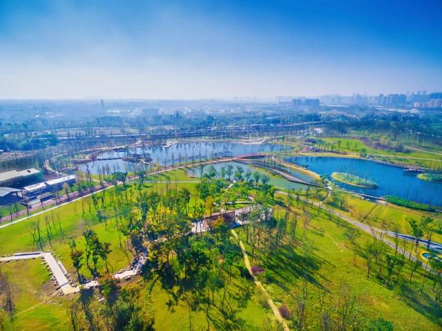 发现·公园城市 | 深呼吸，感受成都湿地魅力