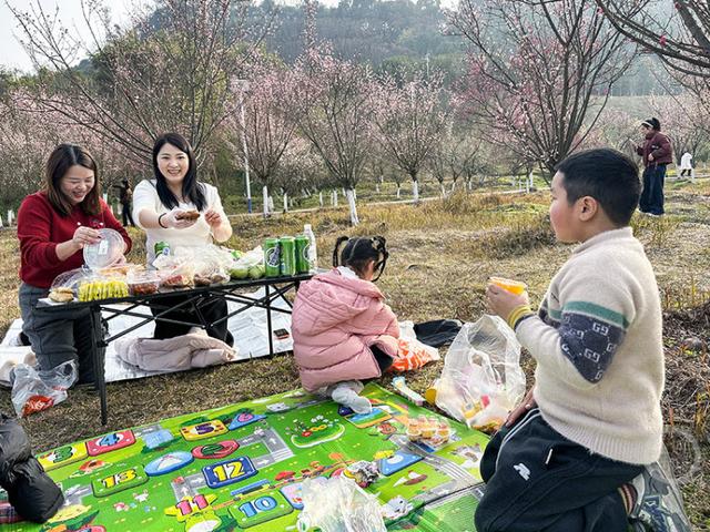 百亩梅林点染长江岸 江畔盛景美如画