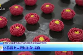山东文旅报道 | 德州平原：乡村文旅项目加速建设 打造乡村旅游好去处视频封面