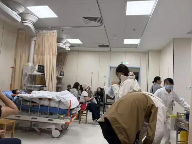 惊险！16人户外徒步突遭“围攻”，事发时主副领队均不在场……